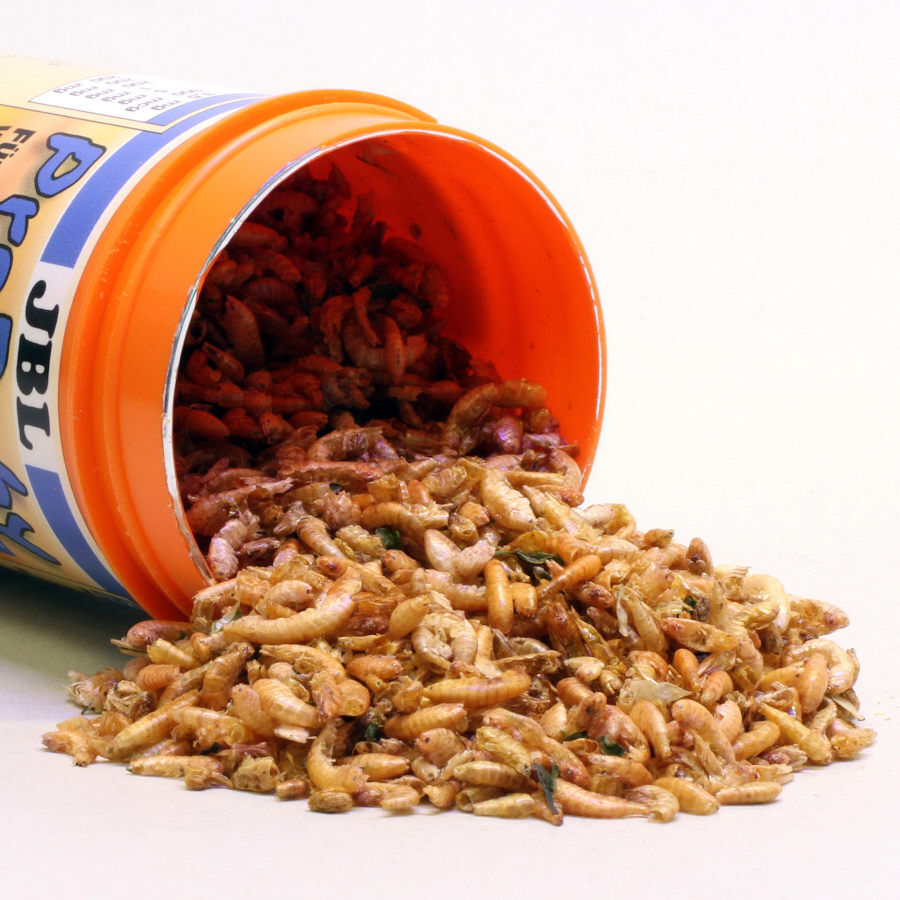 JBL ProBaby Alimento para tartarugas aqu&aacute;ticas jovens , , large Imagem n&uacute;mero 2